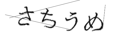 CAPTCHA画像