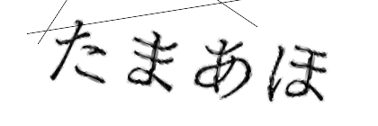 CAPTCHA画像
