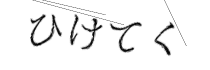 CAPTCHA画像
