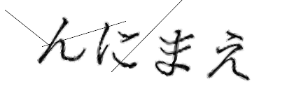 CAPTCHA画像