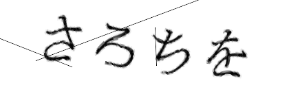 CAPTCHA画像