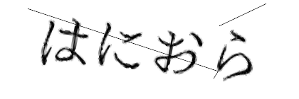 CAPTCHA画像