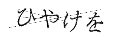 CAPTCHA画像