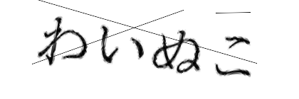 CAPTCHA画像