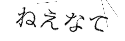 CAPTCHA画像