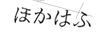 CAPTCHA画像