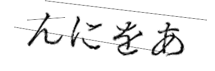 CAPTCHA画像