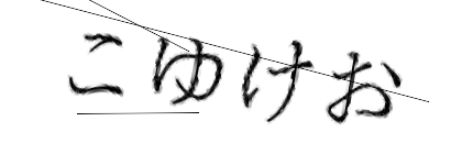 CAPTCHA画像