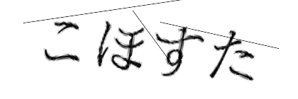 CAPTCHA画像