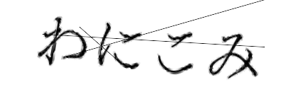 CAPTCHA画像
