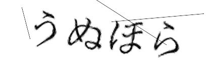 CAPTCHA画像