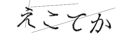 CAPTCHA画像