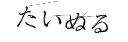 CAPTCHA画像