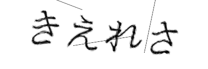 CAPTCHA画像
