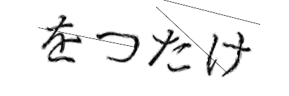 CAPTCHA画像