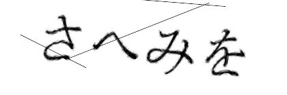 CAPTCHA画像