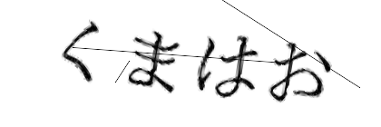 CAPTCHA画像