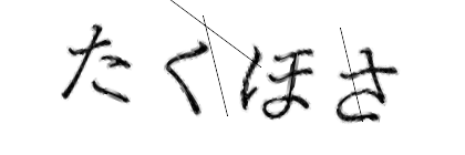 CAPTCHA画像