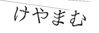 CAPTCHA画像