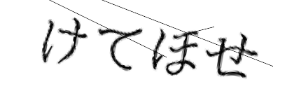 CAPTCHA画像