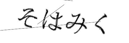 CAPTCHA画像