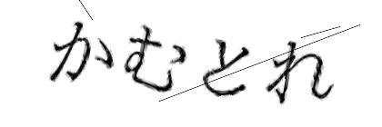 CAPTCHA画像