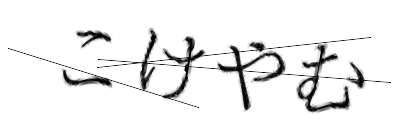CAPTCHA画像