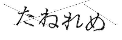 CAPTCHA画像