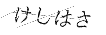 CAPTCHA画像