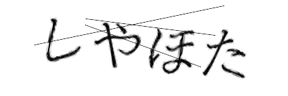 CAPTCHA画像
