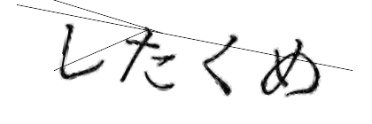 CAPTCHA画像