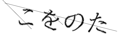 CAPTCHA画像